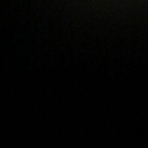 Meet your Posher, Dawson